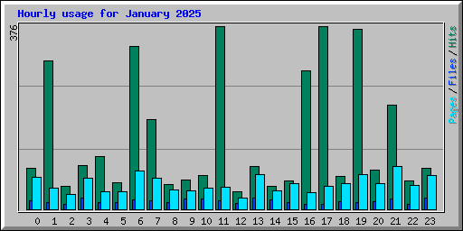 Hourly usage for January 2025